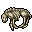 hyaena skeleton-3021