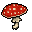 Amanita Muscaria Giganticus